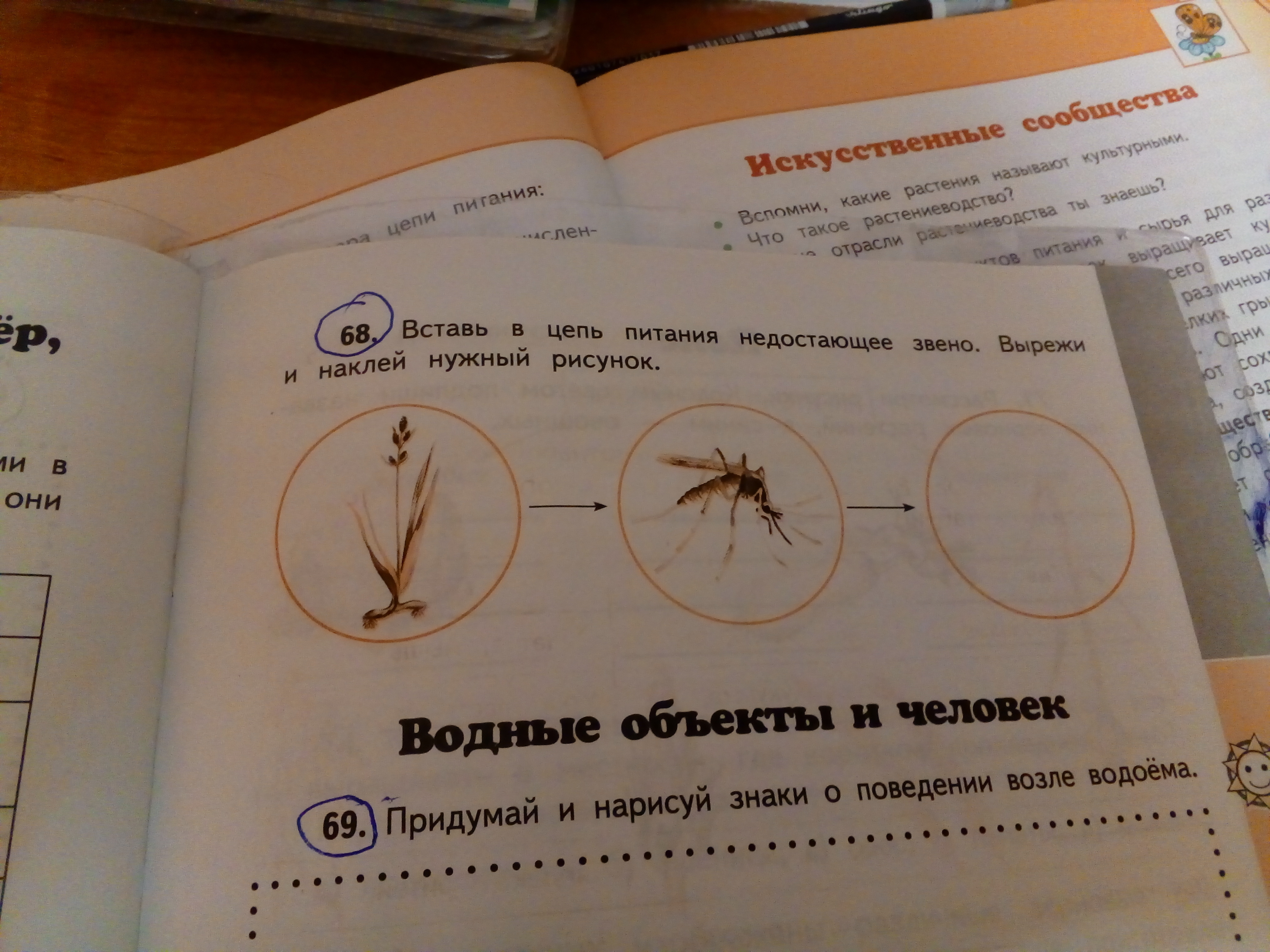 Используя рисунок на странице. Вставь в цепь питания недостающие. Вставь в цепи питания недостающие звенья. Вставь в цепь питания недостающее звено. Вставь в цепь питания недостающие звенья вырежи.