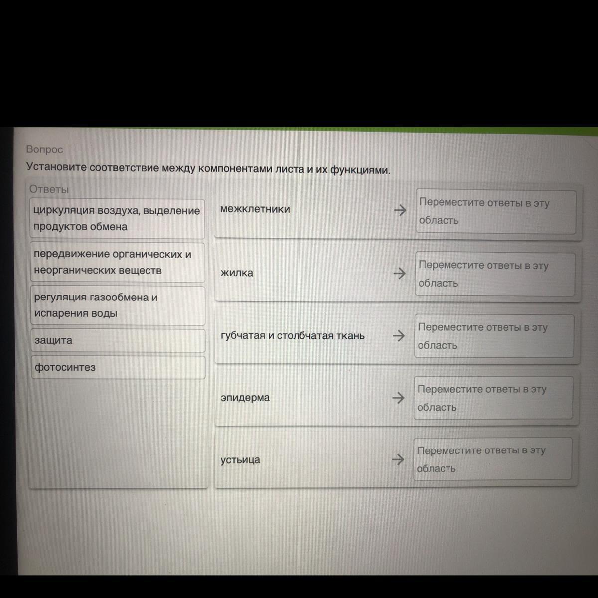 Установите соответствие между органическими соединениями. Установите соответствие между частью листа и ее функцией.. Установи соответствие между структурами листа и их функциями. Установите соответствие листовые. Установите соответствие между компонентами листа и их функциями..