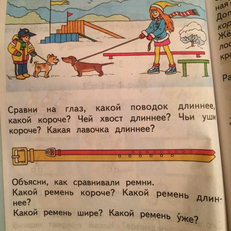 Помоги ответь. Сравни на глаз чей поводок длиннее. Сравни на глаз какой поводок длиннее какой короче. Какая линия короче какая длиннее. Какой дворник длинный а какой короткий.