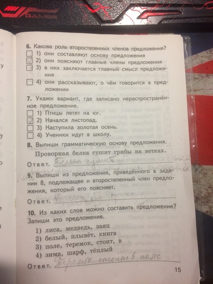 Укажи вариант где. Укажи вариант где записано предложение. Белка сушит на ветках грибы члены предложения. Грамматическая основа в предложении,белка сушит на ветках грибы. Укажи вариант где записано распространенное предложение.