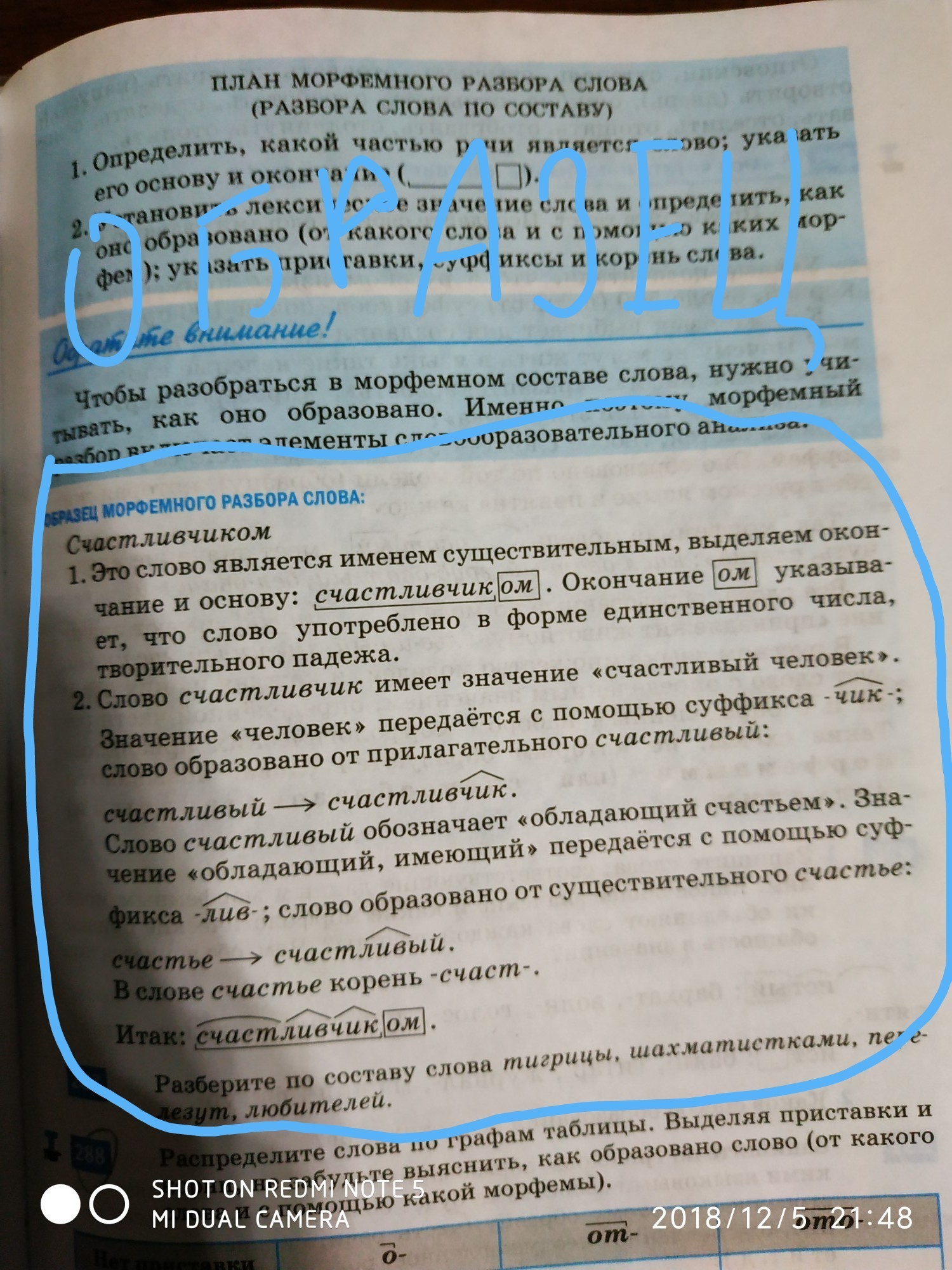 Шахматистка состав слова. Морфемный разбор слова. Разбор слова шахматистками. Разобрать слово по составу шахматистками. Шахматистками разбор слова по составу.