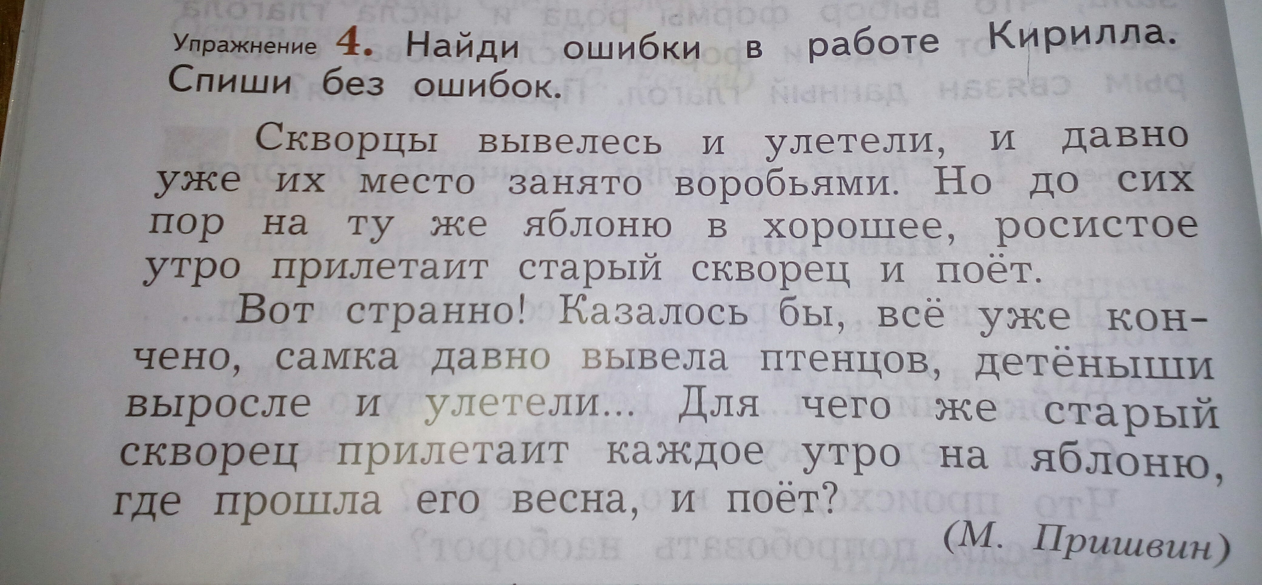 Найди 4 ошибки. Найди ошибки в работе Кирилла. Найди ошибки в работе Кирилла Спиши без ошибок. Списать найти ошибки. Скворцы вывелись и улетели и давно уже их место.