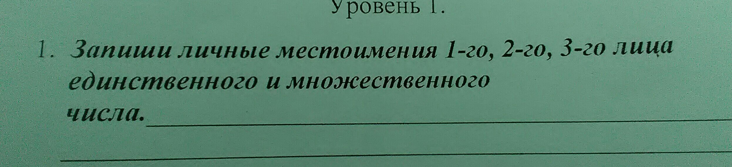 Пасти 2 лицо единственное. Личные местоимения 1 2 3 лица.