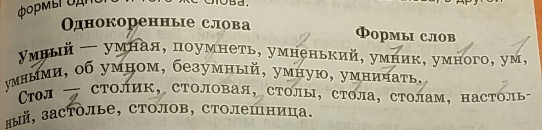 Текст другими словами. Формы слова умный. Выписать формы одного слова. Умная форма слова умный. Форма слова умный в русском языке.