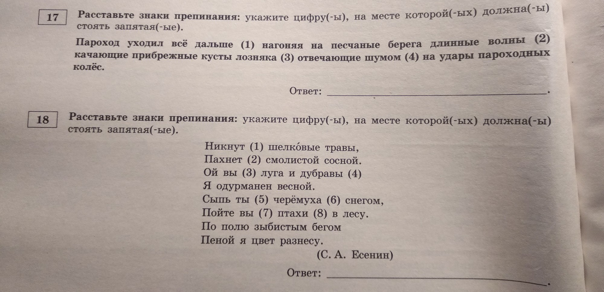 Пойте вы птахи в лесу знаки препинания