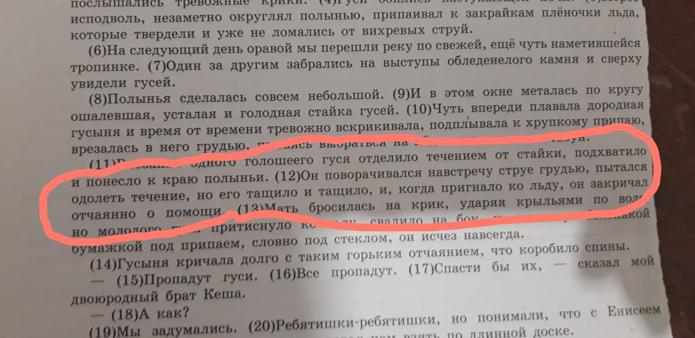 Укажите количество грамматических основ в предложении давно уже содержимое ящиков письменного стола