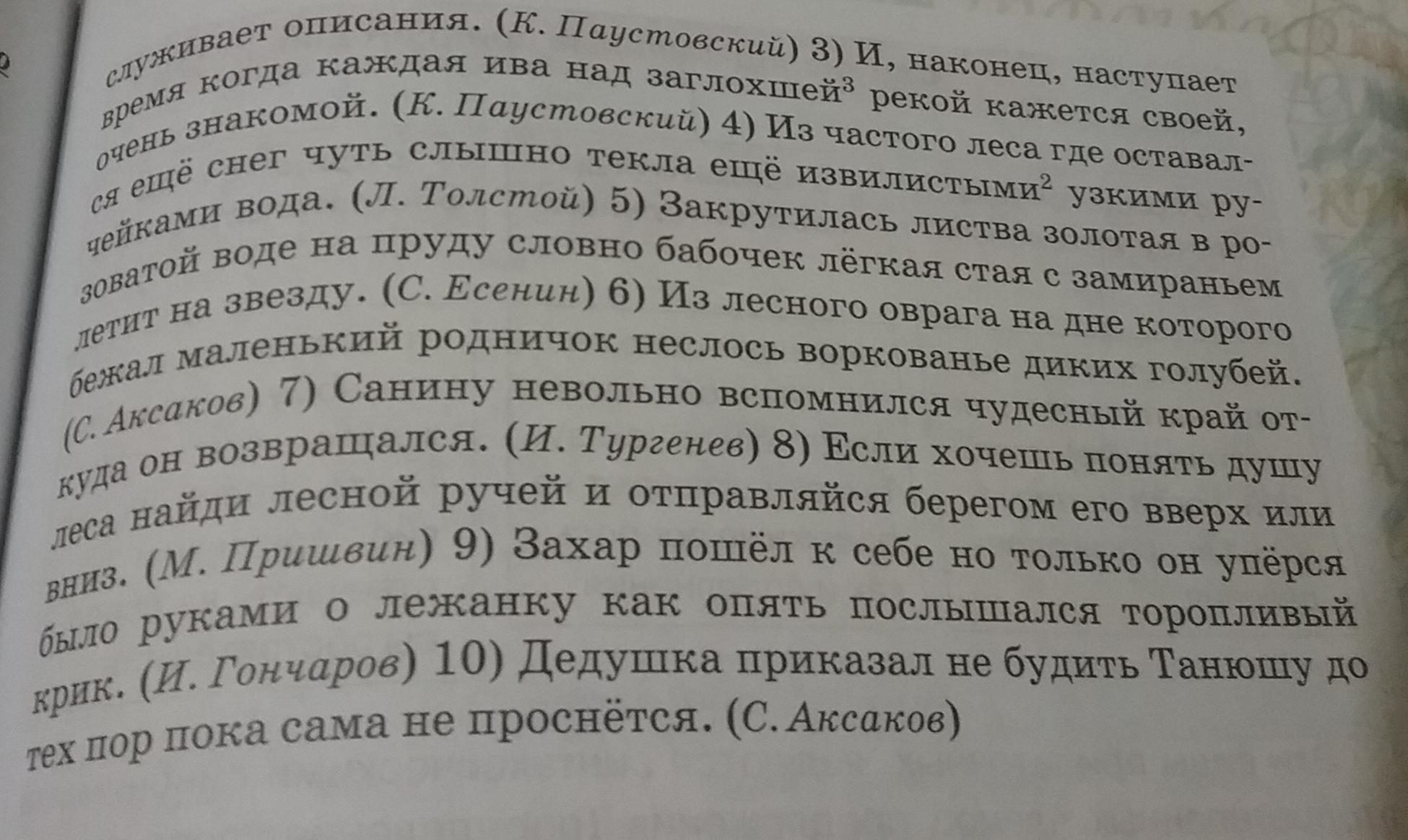 Проснулась рассказ. Из оврага неслось воркование диких голубей или горлинок..