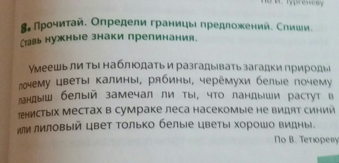 Установите границы предложений. Умеешь ли ты наблюдать и разгадывать загадки природы. Определи границы предложений. Спиши предложения.. Прочитай Найди границы предложений. Вставь нужный знак в конце предложения.