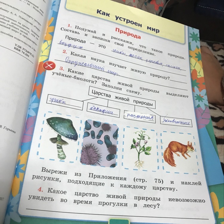 Живой какое время. Какое царство живой природы невозможно увидеть во время прогулки. Какое царство живой природы невозможно увидеть в прогулке в лесу. Какое царство. Какое живое царство время прогулки в лесу невозможно увидеть.