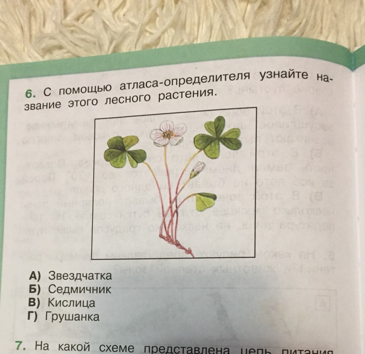 С помощью атласа определителя