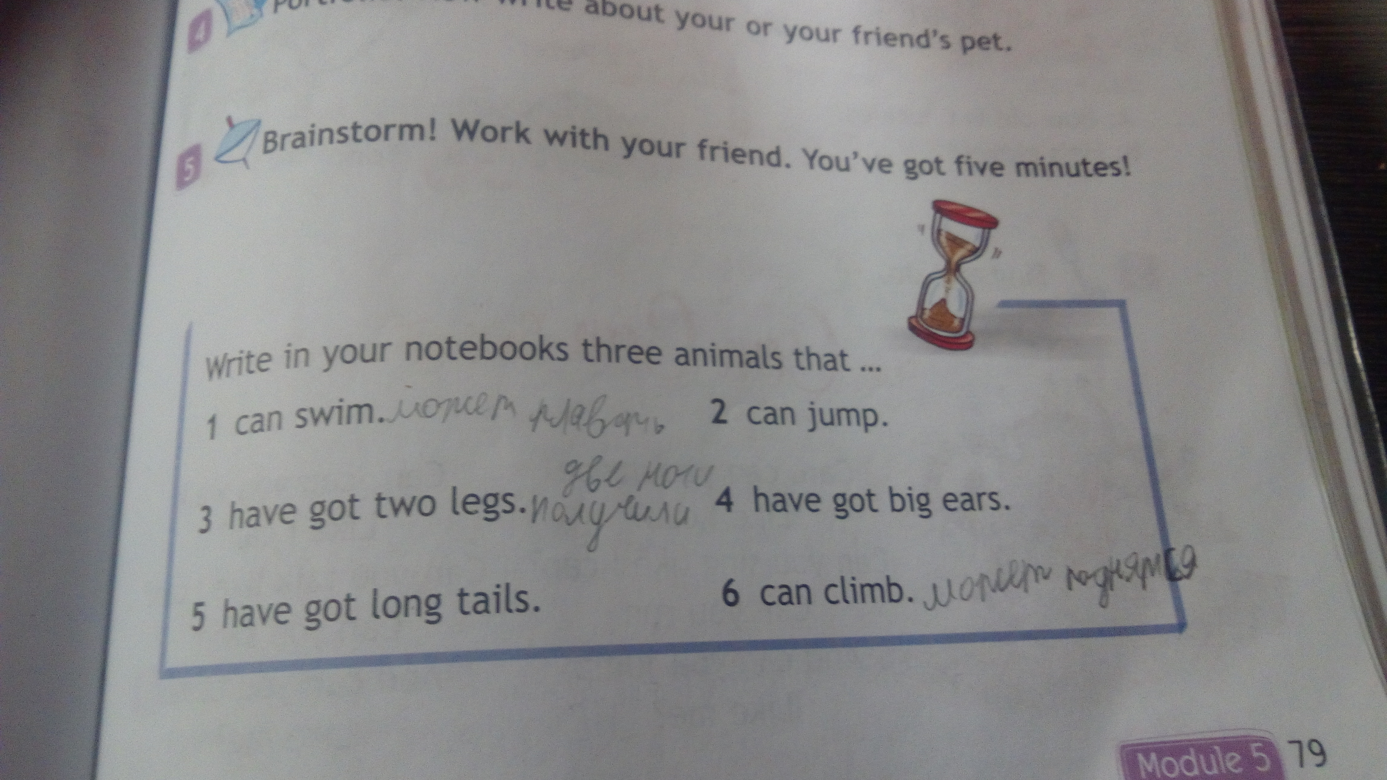 Has got four legs перевод. Brainstorm work with your friend you ve got Five. Write in your Notebooks three animals that 3 класс. Write in your Notebooks three animals that перевод. Brainstorm! Work with your friend. You’ve got Five minutes.