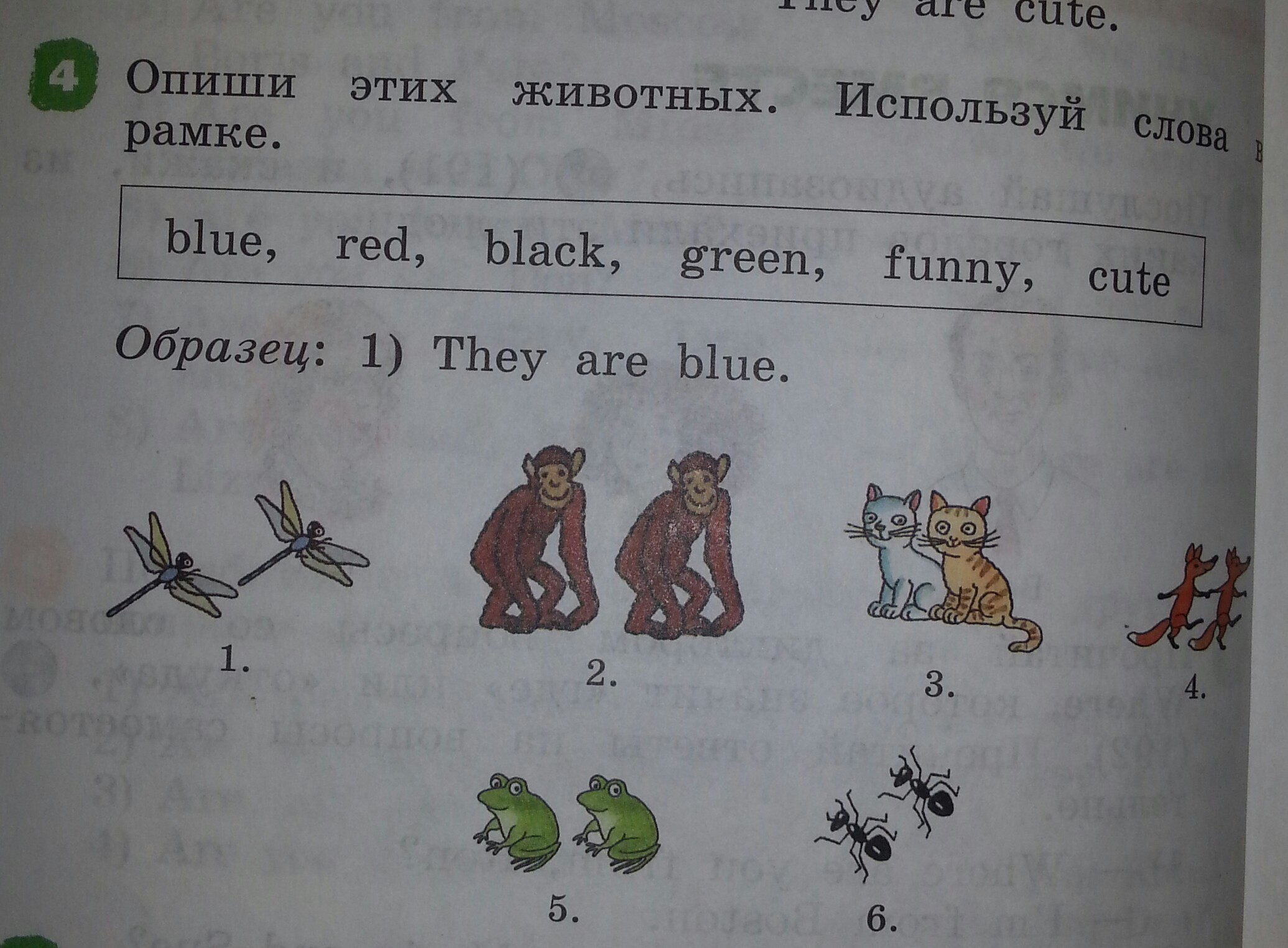 На картинках используя слово. Опиши этих животных.используй слова в рамке. Опиши этих животных используй слова в рамке Blue. Опиши этих животных. Используя слова в рамке английский язык. Опиши эту картинку 2 словами.