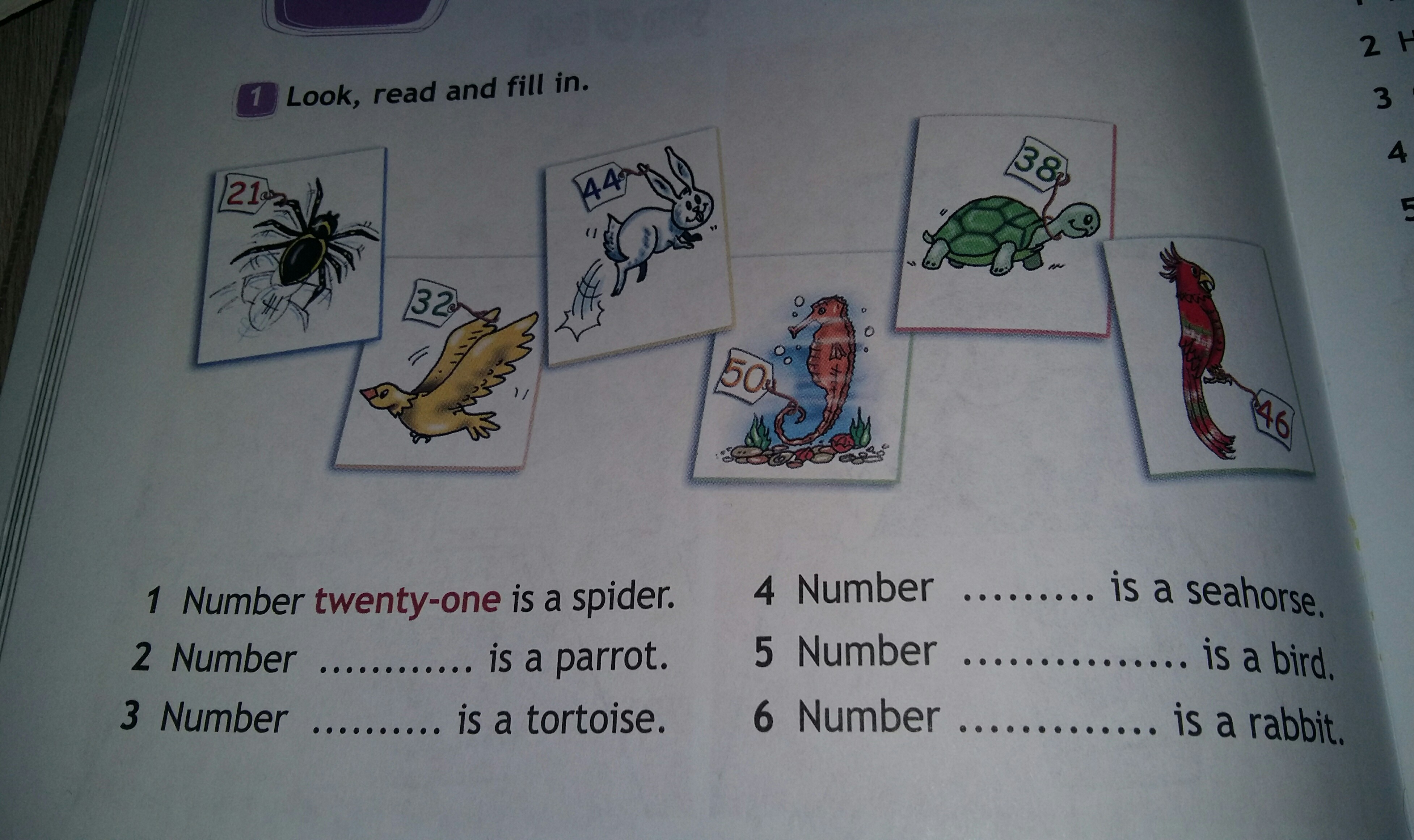A spider has got eight. Английский язык look and read. Look,read and fill in по английскому. Look and fill in 3 класс. Read and number 2 класс.