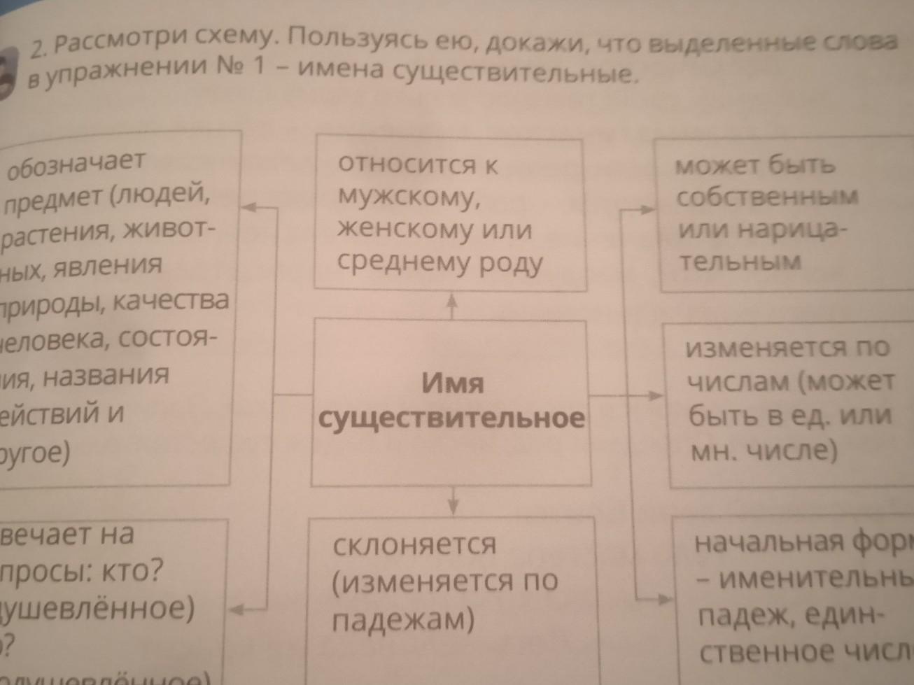 Назовите обозначенные на схемах наименования частей мужской и женской одежды