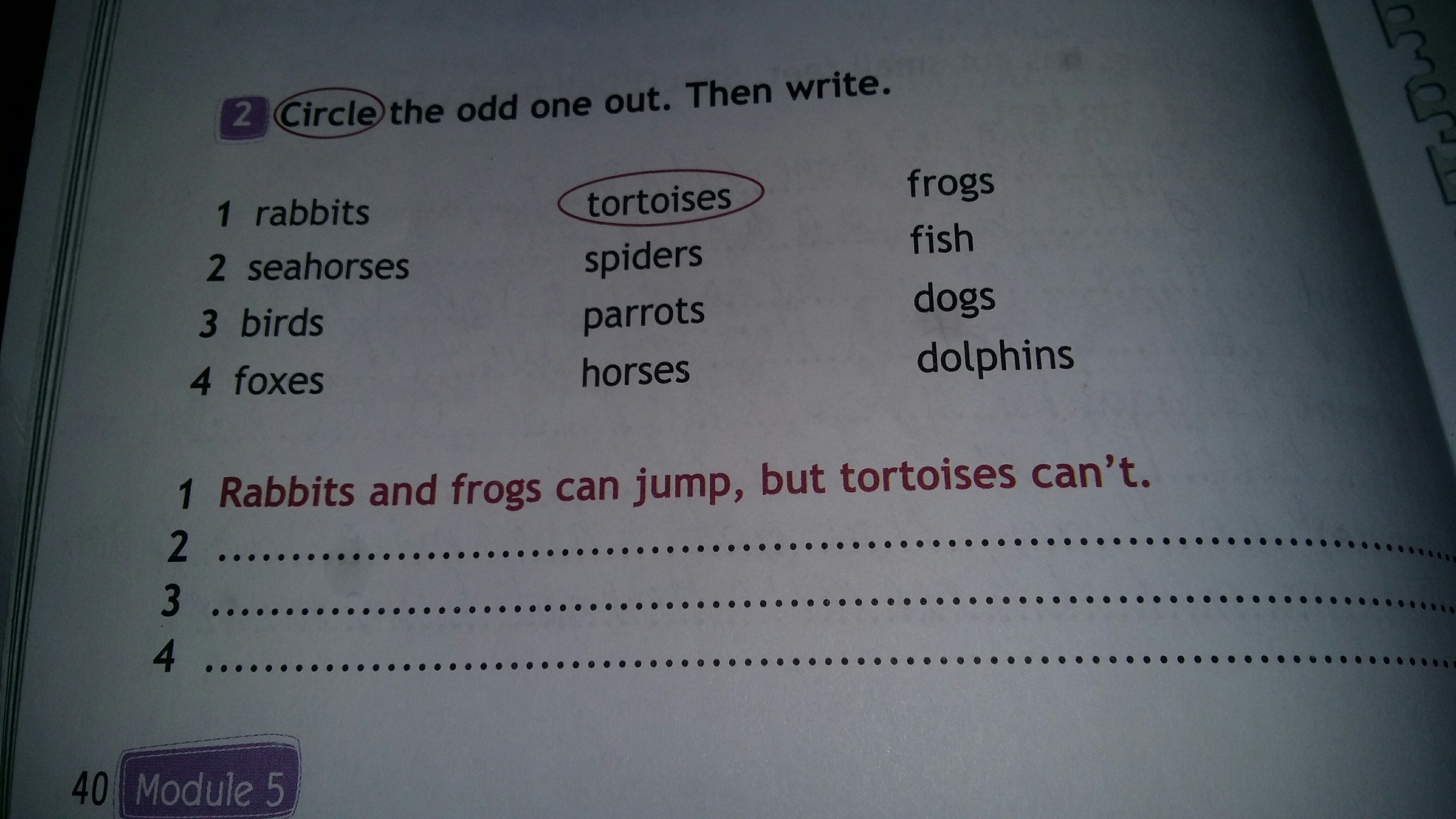 Underline the odd word. Circle the odd one out then write. Circle the odd one. Circle the odd one out then write 3 класс. Circle the odd one out.