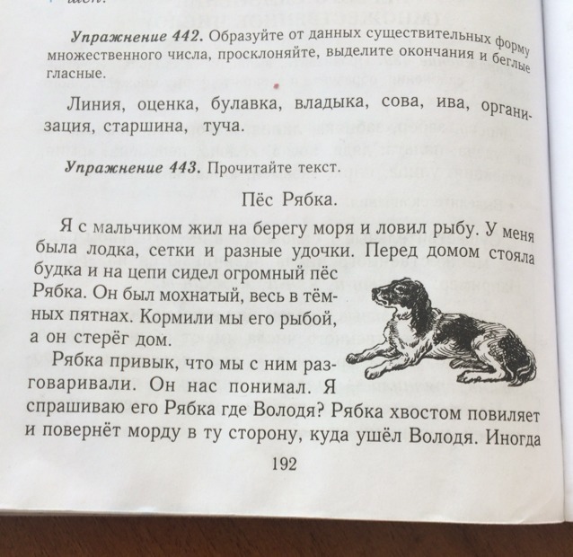 У меня был пес по кличке булька. Диктант собака Рябка. Диктант по русскому языку. Диктант 2 класс. Диктант 4 класс про собаку.