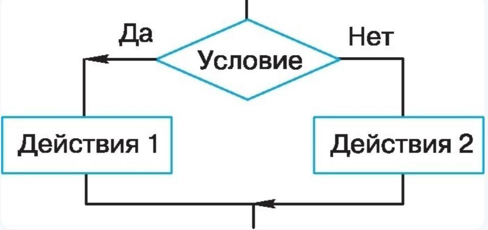 К какому виду алгоритмов можно отнести алгоритм схема