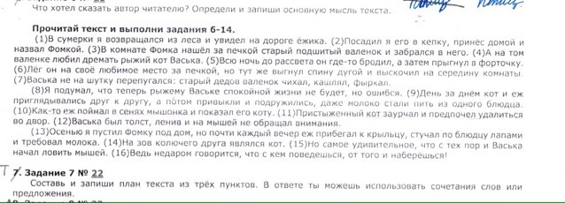 В сумерки я возвращался из леса. Что хотел сказать Автор. В Сумерки я возвращался из леса план текста. В Сумерки я возвращался из леса и увидел на дороге ежика план. Как понять что хотел сказать Автор.