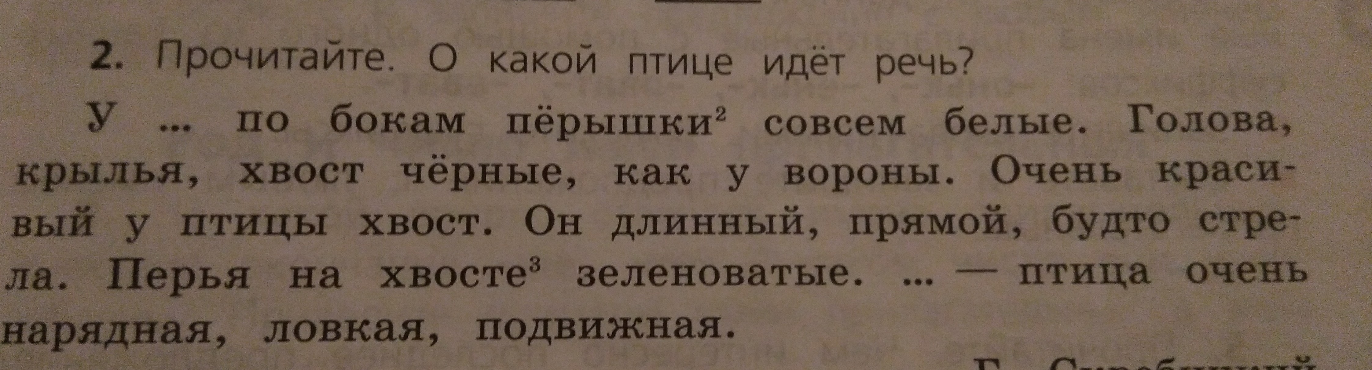 Какой макс. Загадка у по бокам перышки совсем белые. У по бокам перышки совсем белые ответ. Прочитайте о какой птице идет речь у по бокам. У по бокам перышки совсем белые голова.