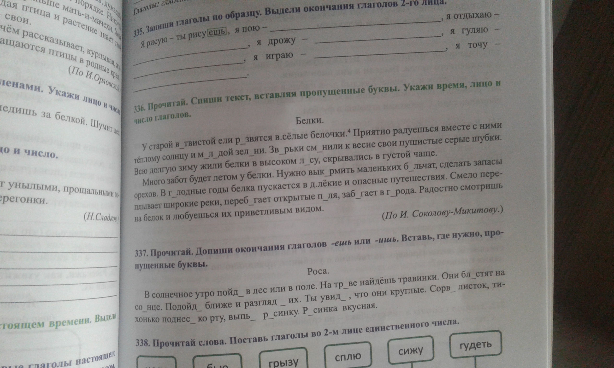 Вставь пропущенные буквы допиши окончания. Вставь буквы допиши окончания глаголов белка и медведь. Время лицо и число глаголов.