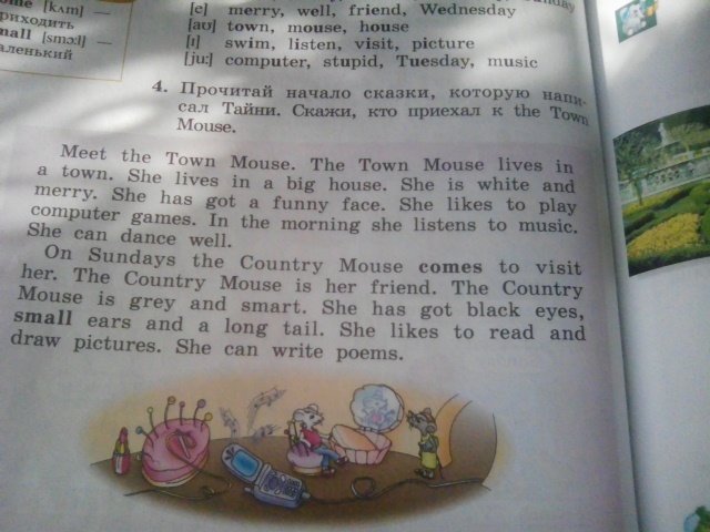 The town mouse has got eyes. The Town Mouse and the Country Mouse перевод. Сказка the Town Mouse and the Country Mouse. The Town Mouse and the Country Mouse перевод текста на русский. Spotlight 2 класс Town Mouse and the Country Mouse.