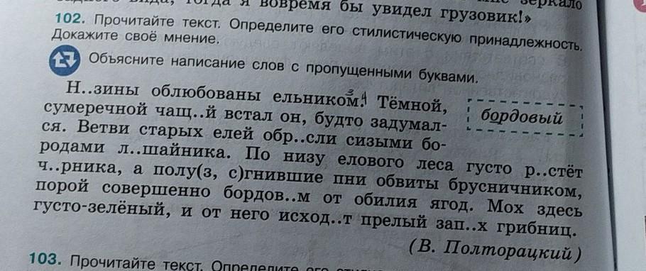 Съесть разбор. Белка пробилась сквозь снег в мох синтаксический разбор. Синтаксический разбор предложения белка пробилась. Синтаксический разбор предложения белка пробилась сквозь снег. Белка пробилась сквозь снег в мох синтаксический разбор предложения.