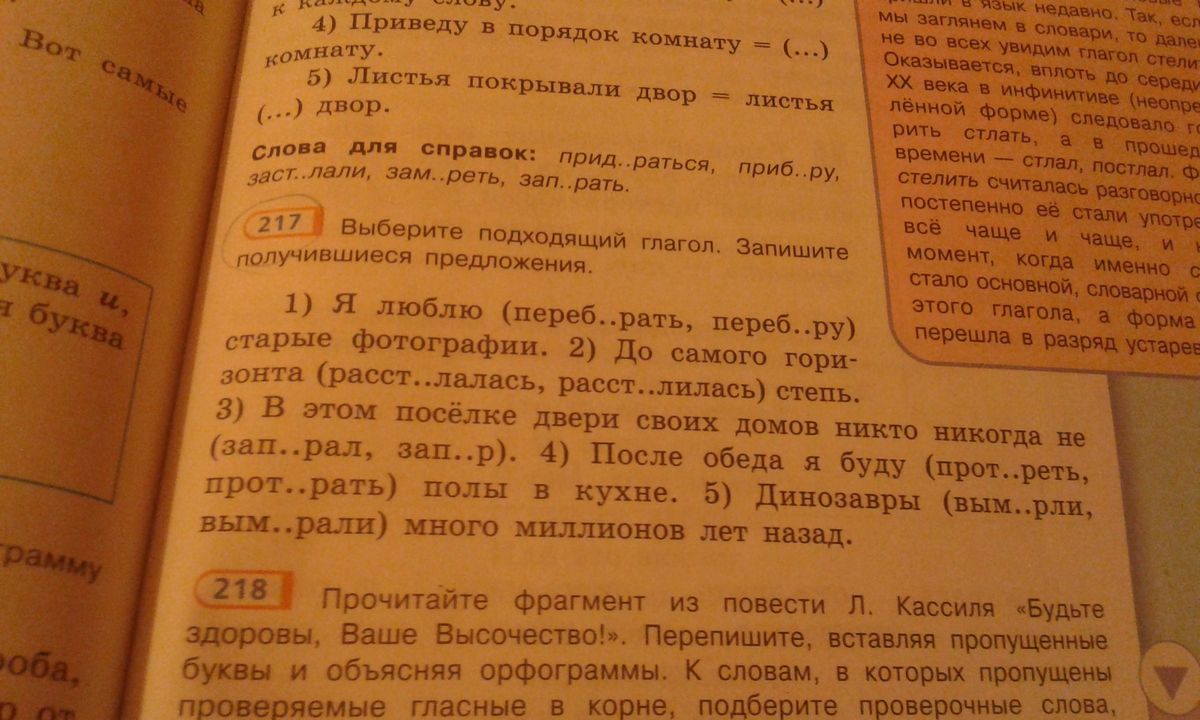 Русский 5 класс упр 217. Упр 217. Прочитайте упр 217. Упр 217 по русскому языку 4 класс. Русский язык 5 класс упр 217.