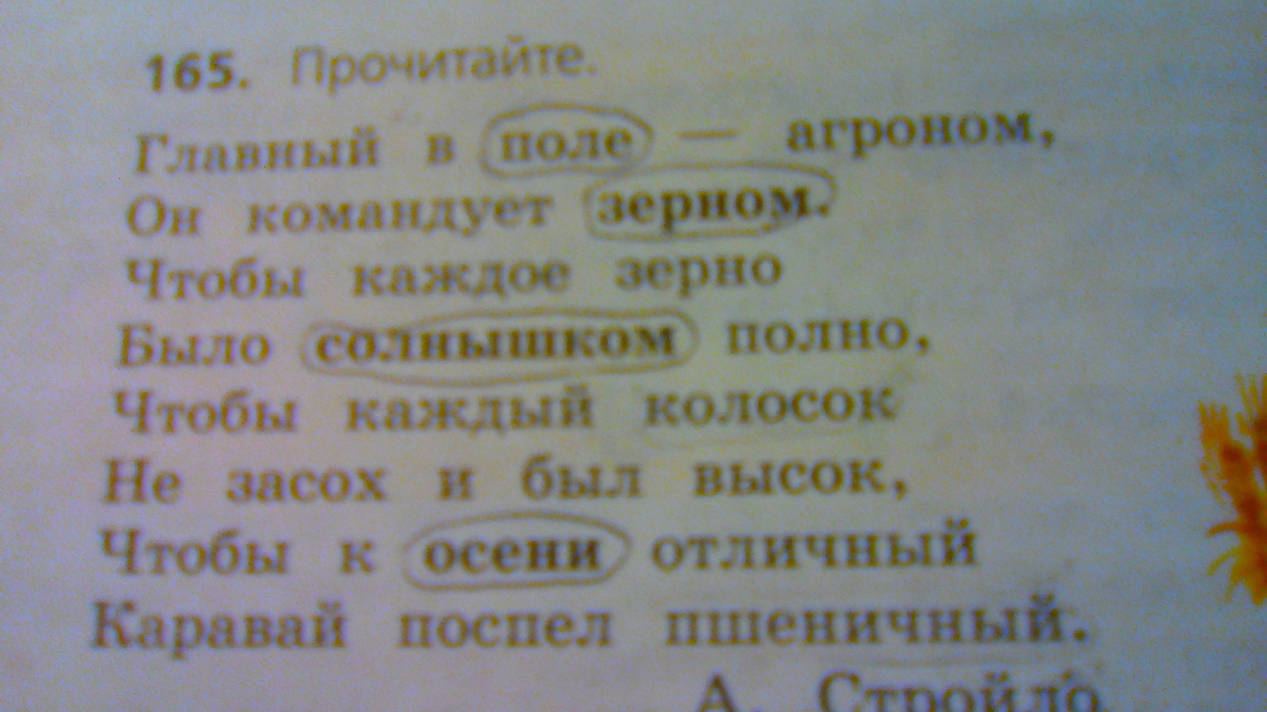 Выпиши существительные 2 склонения. 165. Прочитайте.. Просклонять слово агроном. Склонение слова агроном. Выпиши существительные 2 склонения поле агроном.