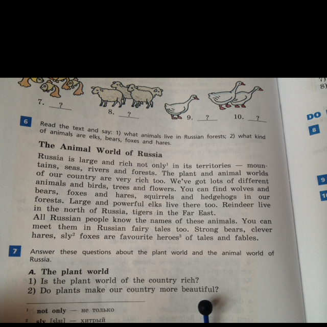 Read the text the russian. The Fox and the Bear 4 класс. What animals Live in Russia. World of animals текст. The Fox and the Bear 4 класс текст.