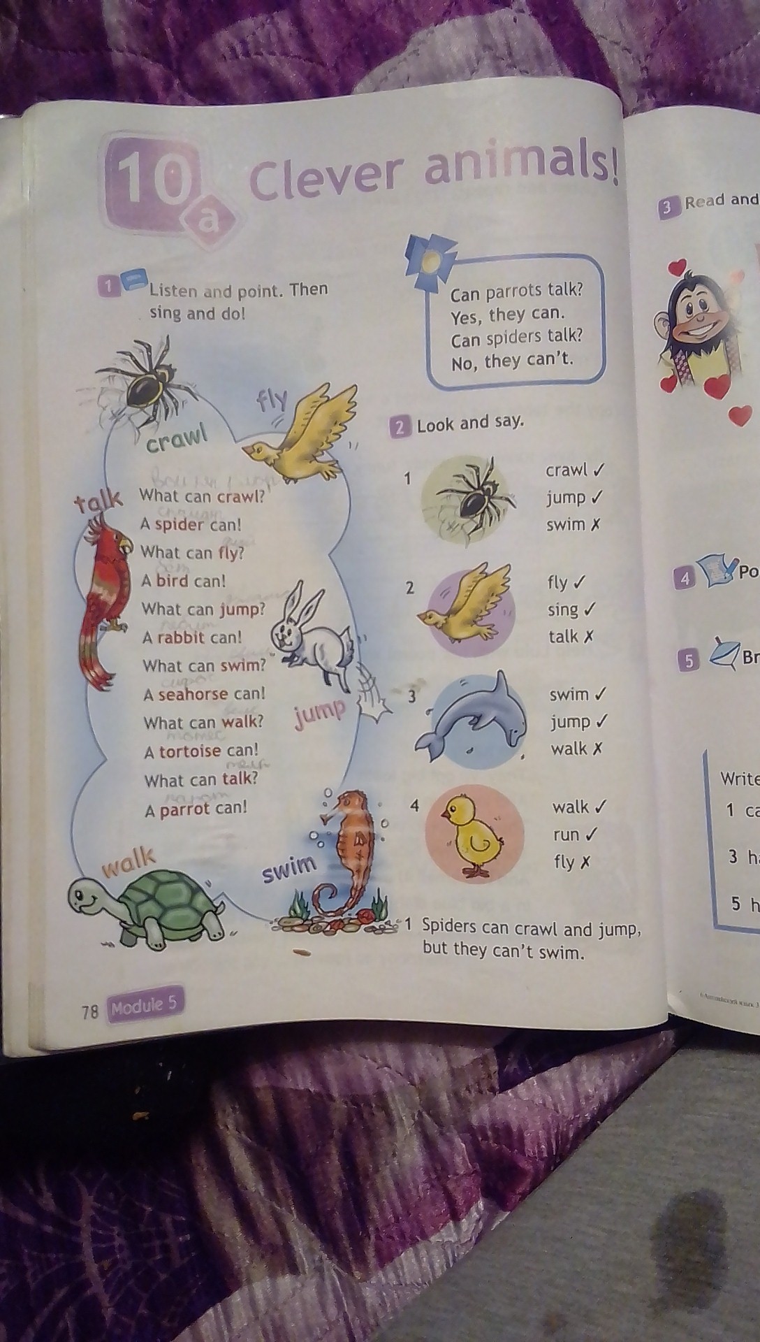 Crawl spider fly bird jump rabbit swim. Транскрипция слов Crawl Spider Fly Bird Jump Rabbit Swim Seahorse walk Tortoise talk Parrot. What can Crawl a Spider can транскрипция. What can Crawl a Spider. What can Crawl перевод.