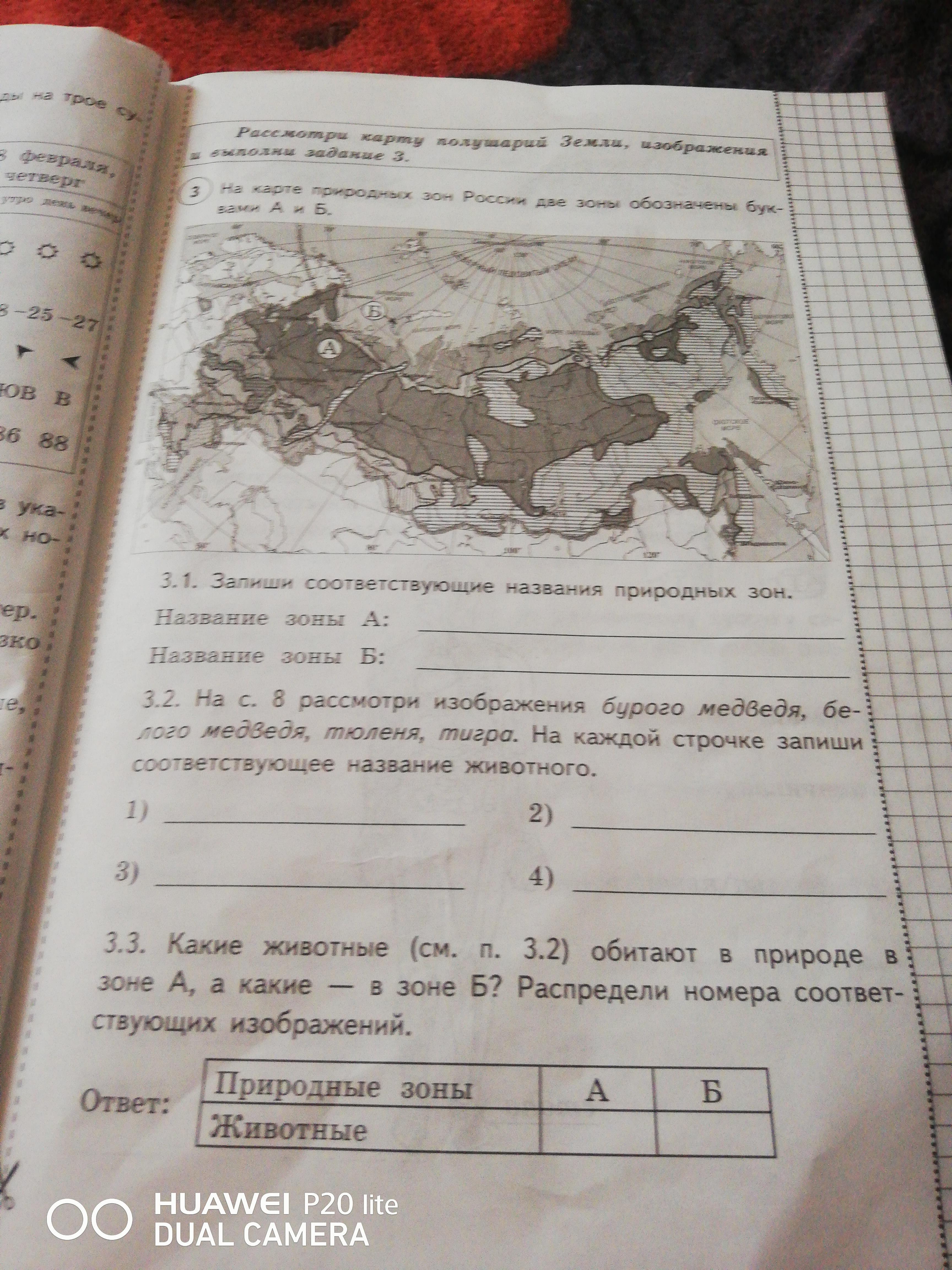 Запиши соответствующие названия природных зон