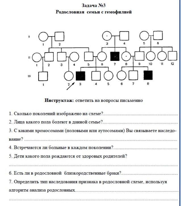 Задачи на составление родословной. Родословная генетика пробанд. Анализ родословных схем генетика. Задачи на составление родословной по генетике с решением. Родословная схема по генетике.