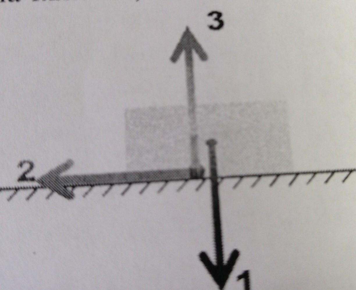 Направление силы тяжести рисунок. Какая сила изображена на рис.1. Сила упругости и сила трения на рисунке. На рисунке изображена сила трения сила упругости. Какие силы изображены на рисунке 1 сила упругости 2.сила тяжести.