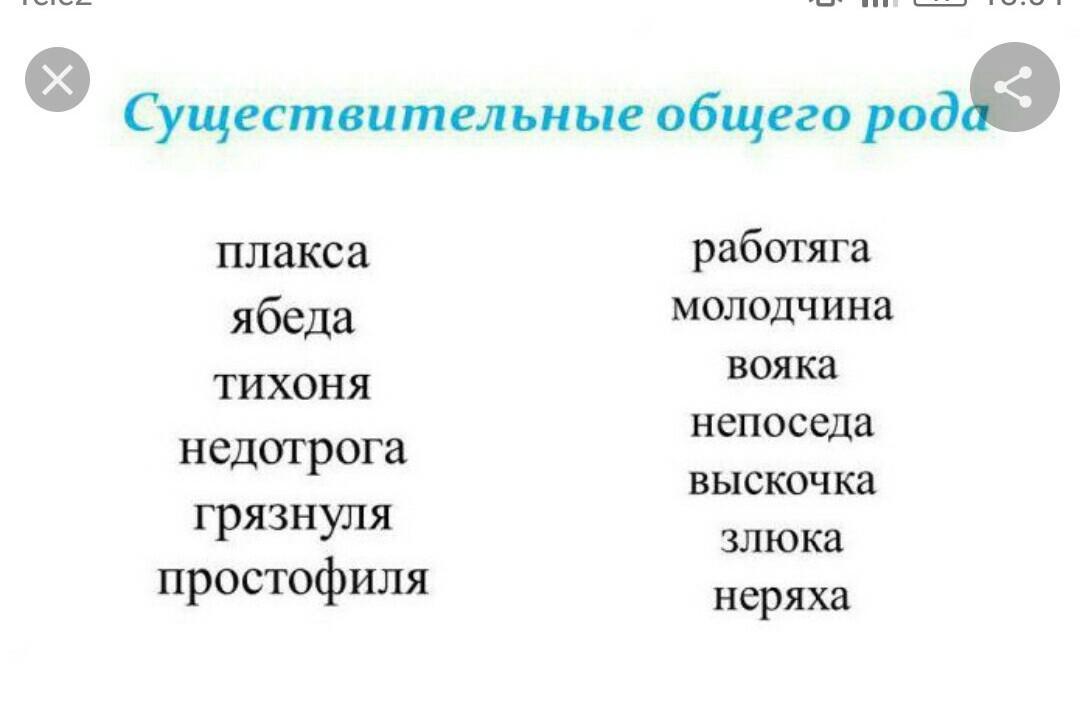 Доктор общего рода. Вопросы общего рода. Существительные общего рода. Слова общего рода. Существительные общего рода упражнения.