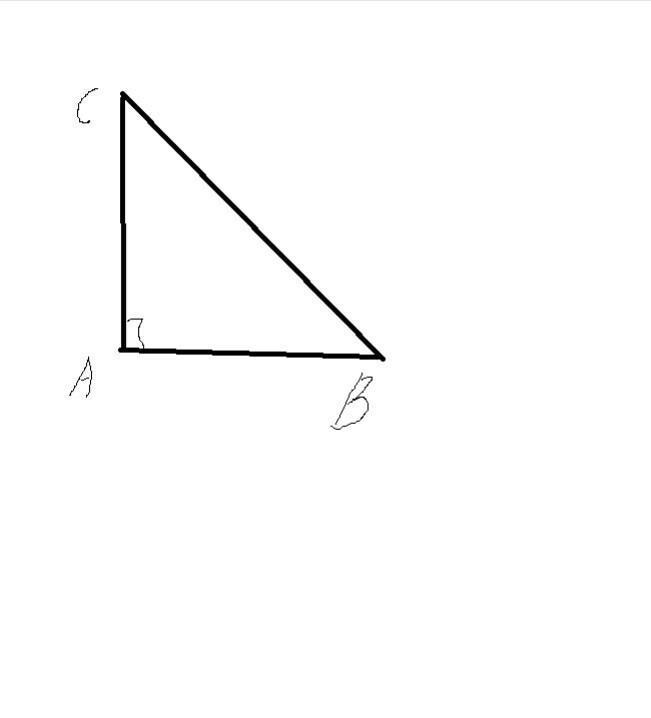 Начерти прямоугольный треугольник