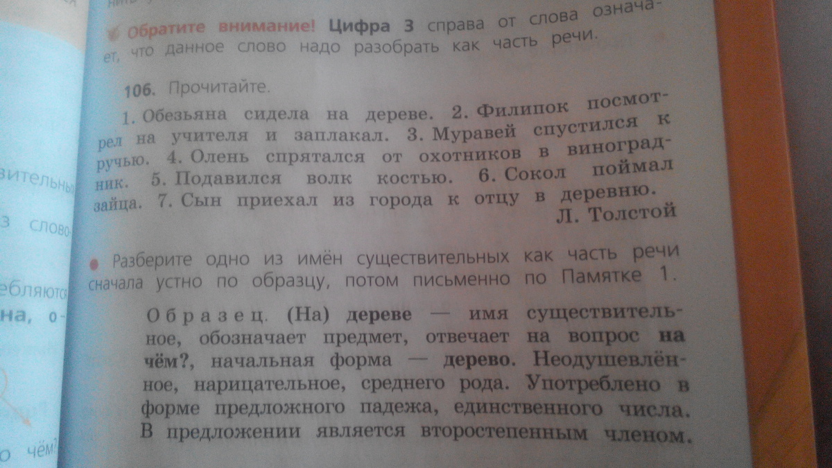 Разобрать имена существительные по схеме в деревню по берегу под елью