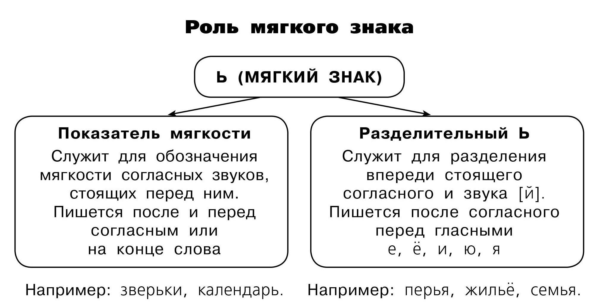 Ь знак показатель мягкости и разделительный правило