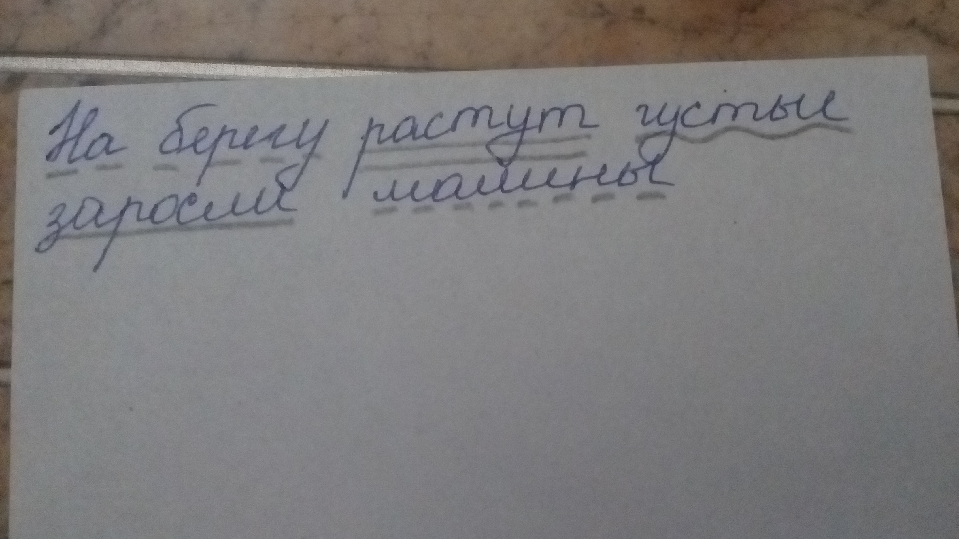 Растут синтаксический разбор. На берегу растут густые заросли малины синтаксический разбор. Разбор предложения на берегу растут густые заросли малины. На берегу растут густые заросли малины синтаксический. Малина синтаксический разбор.