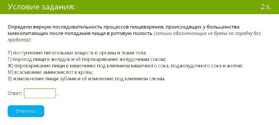 Установите последовательность процессов протекающих