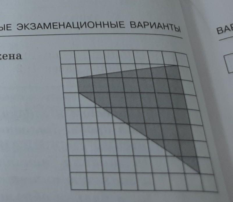 На клетчатой бумаге 1х1 изображен прямоугольный треугольник. На клетчатой бумаге с размером 1х1 изображена трапеция.