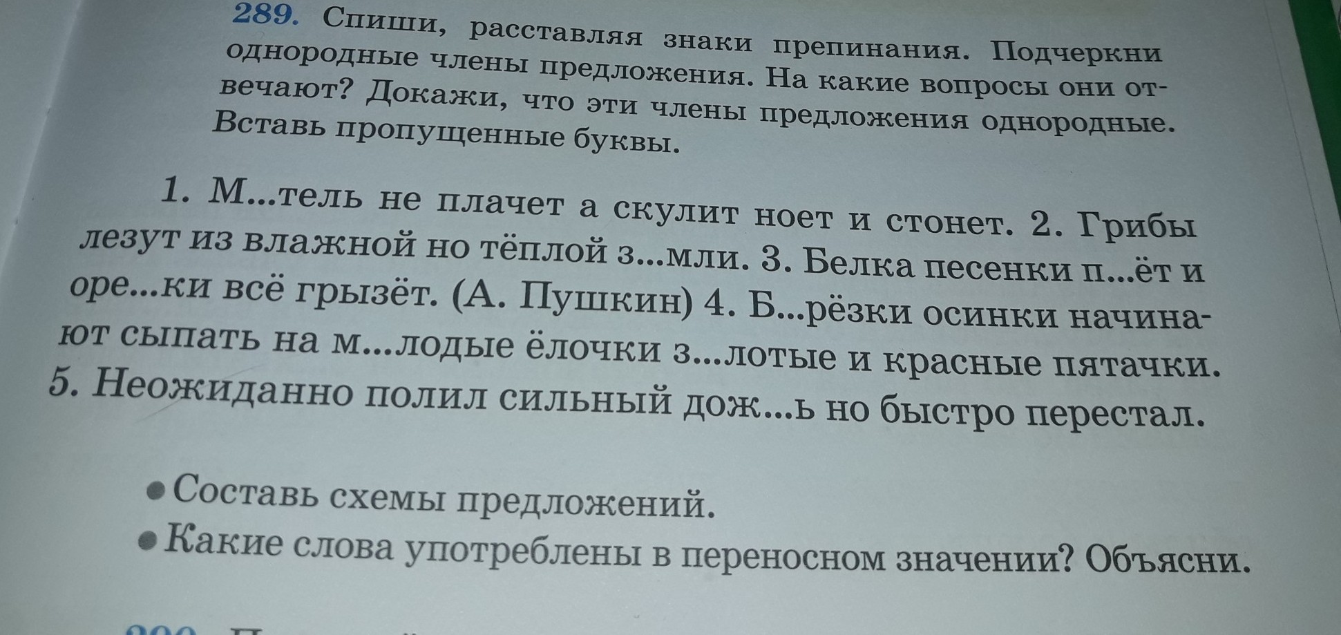 Списать расставить знаки препинания подчеркнуть грамматическую