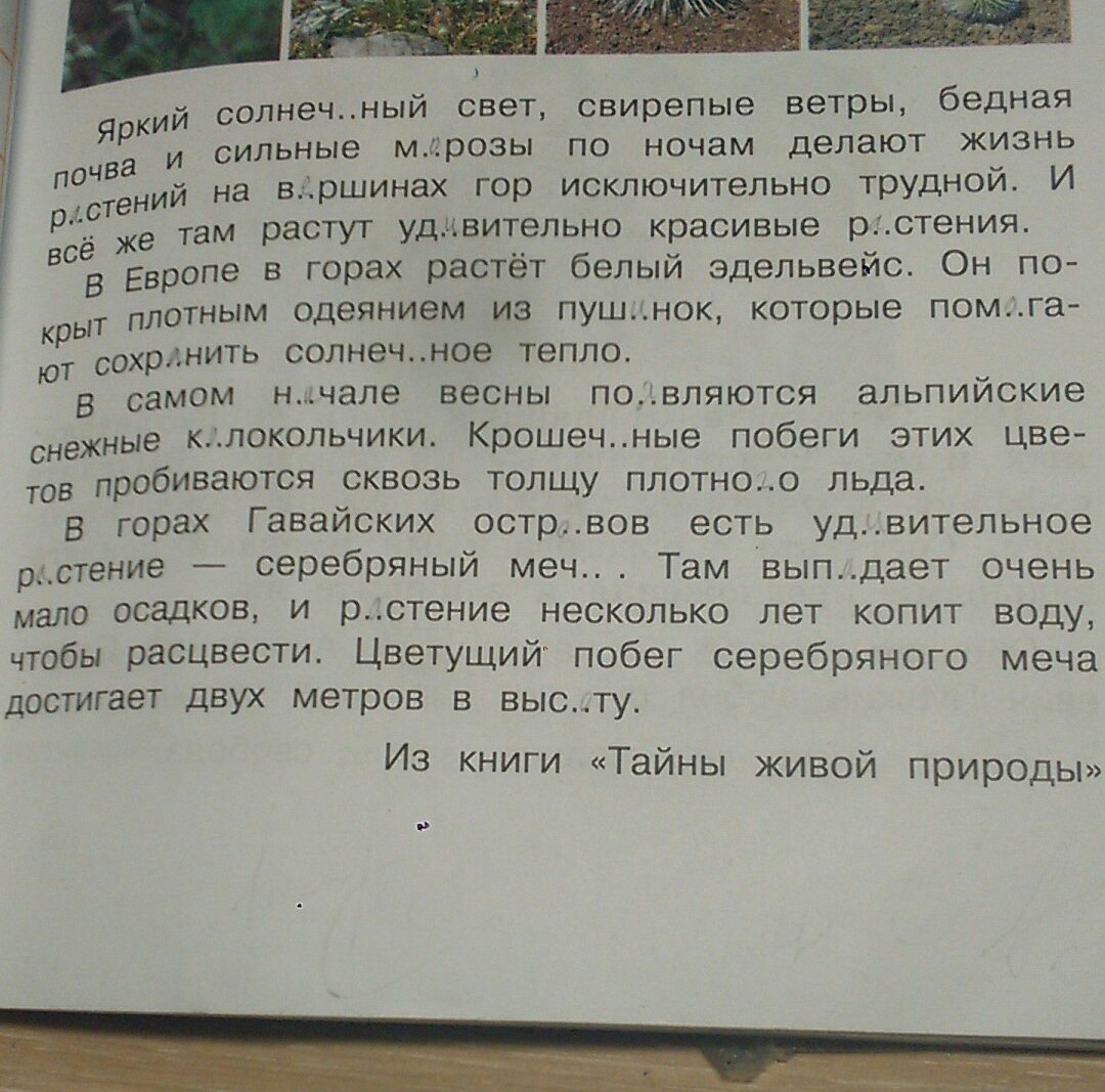 4 озаглавь текст. Яркий Солнечный свет свирепые ветры бедная почва и сильные. Яркий Солнечный свет свирепые. Озаглавить текст 1 класс русский язык. Русский язык яркий Солнечный свет свирепые ветры.