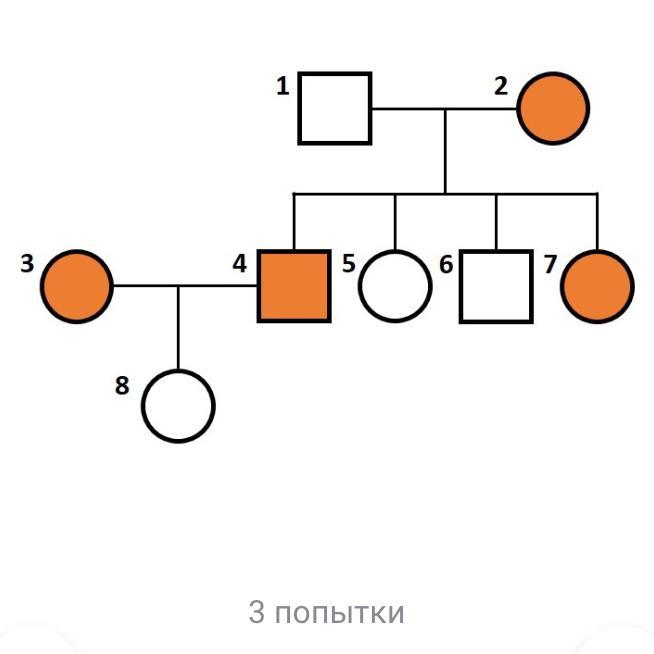 Рисунок с доминантным цветом. Родословная символы заполненные.