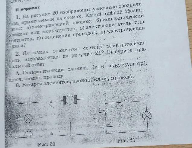 Какой цифрой на рисунке обозначены соцветия впиши нужные цифры колос головка метелка