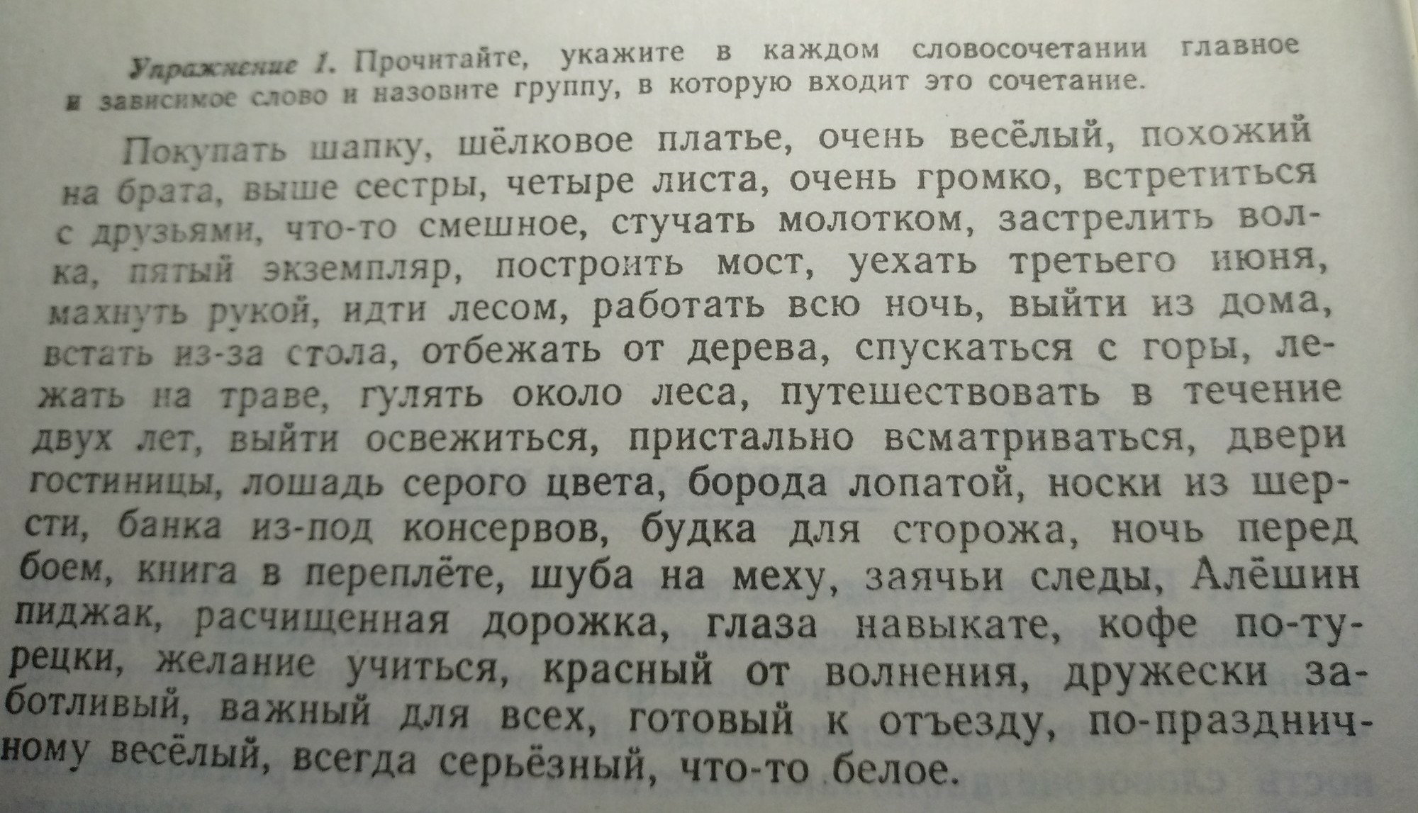 Прочитать указ. Покупать шапку шелковое платье очень веселый. Лист а4 с текстом.