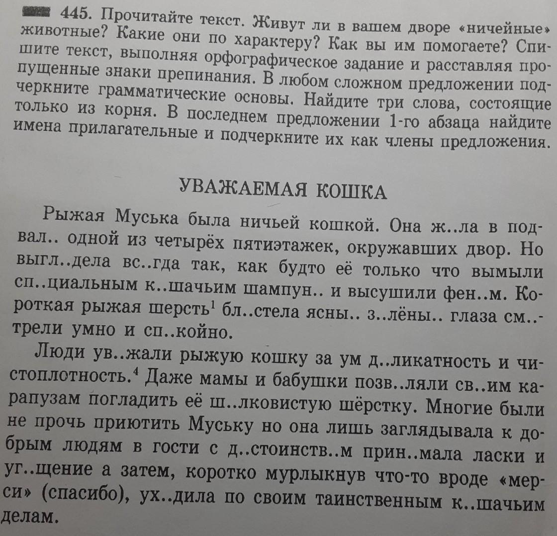 Уважаемая кошка. Уважаемая кошка текст. Уважаемая кошка рыжая Муська была ничьей.