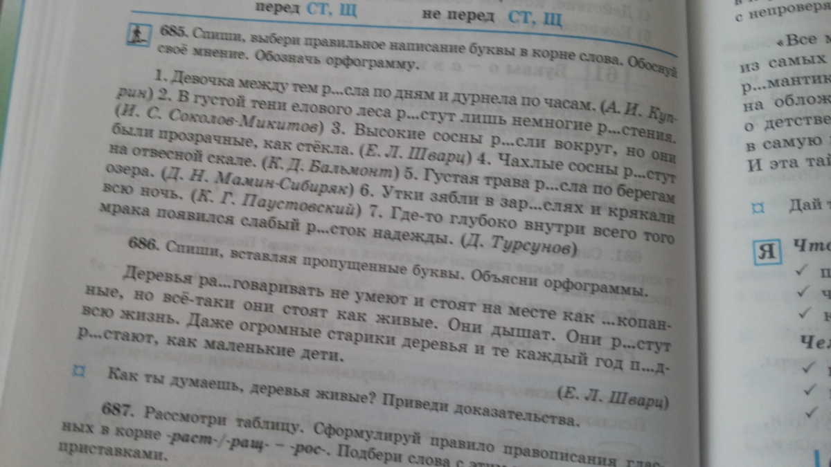 Русский язык 5 класс номер 686. Русский номер предмета.