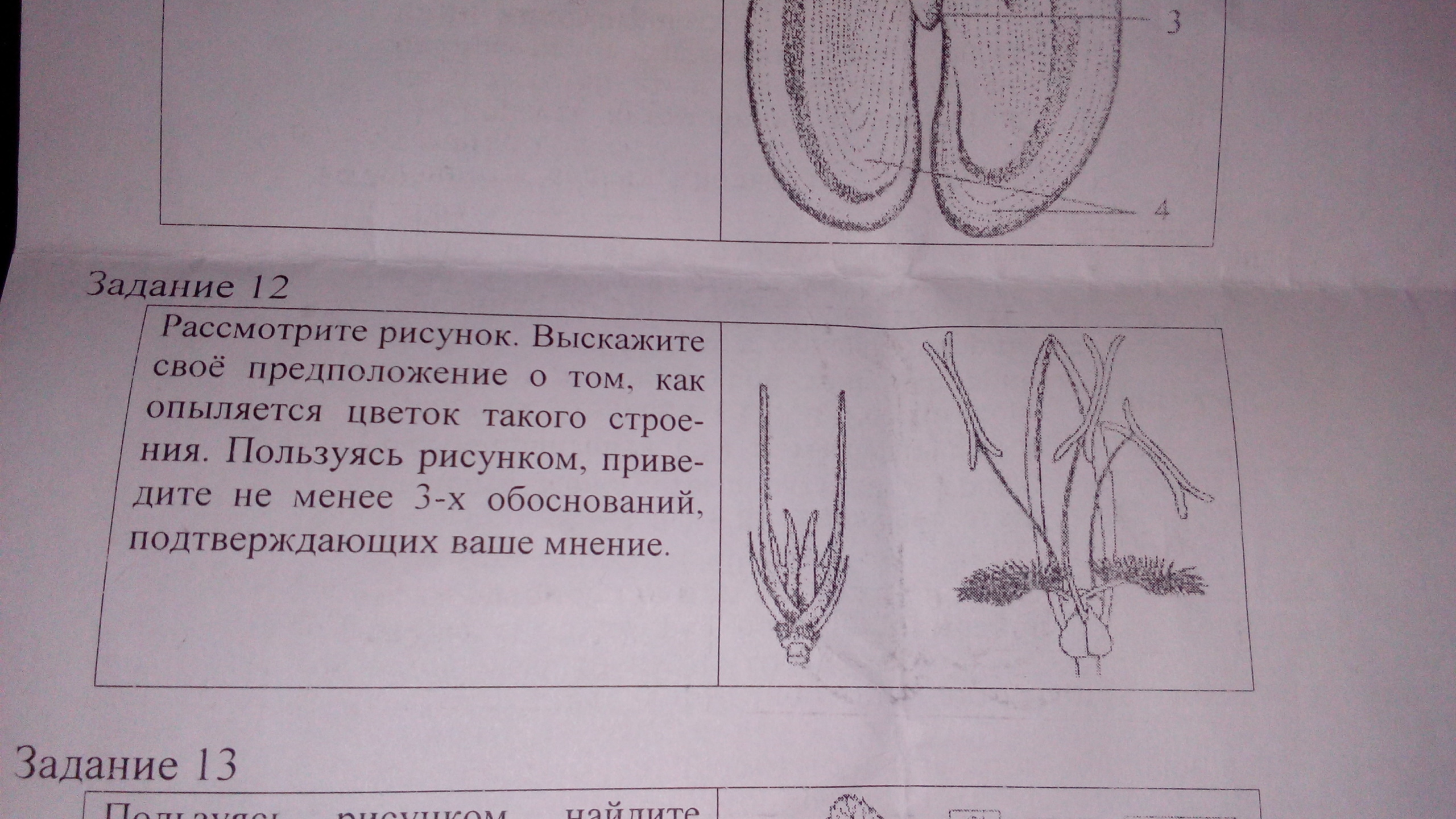 Используя рисунок 21. Рассмотрите рисунок выскажите предположение. Рассмотрите рисунок выскажите свое предположение о том. Рассмотрите рисунок и выскажите предположение о р. Пользуясь рисунком 1 б.