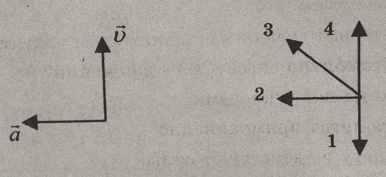Налево рисунке представлены векторы скорости и ускорения тела какой из 4 векторов на правом