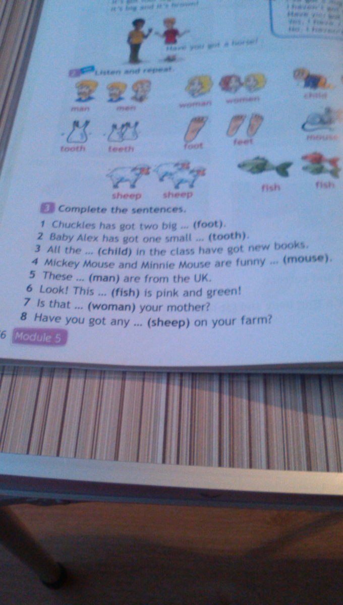 Chuckles has got. Complete the sentences 3 класс. Chuckles has got two big foot. Look and complete the sentences. Complete the sentences chuckles has got two.